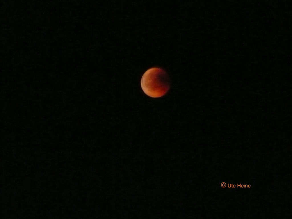 P1110103